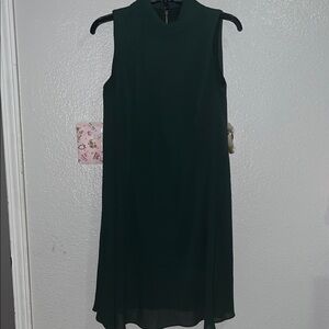 Vince Camuto Dress Dark Green Hun Sleeveless Size 4 Chiffon Overlay&zipper back